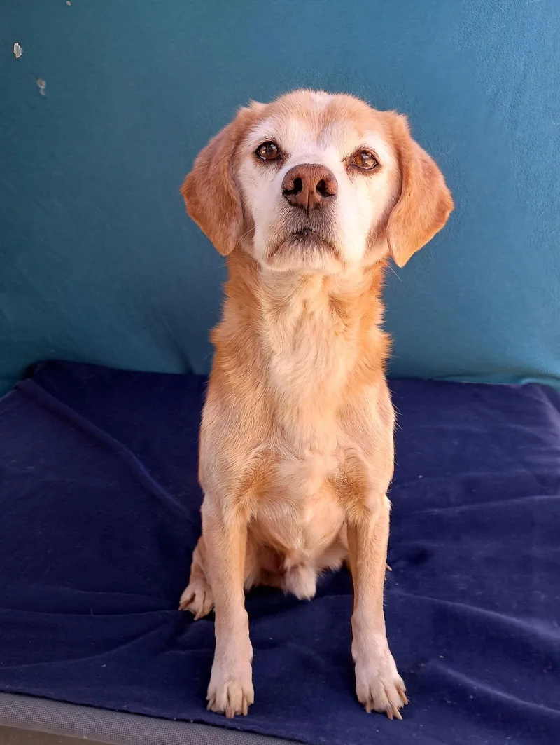 Sammyhis Bff Is Roomy thumbnail 2