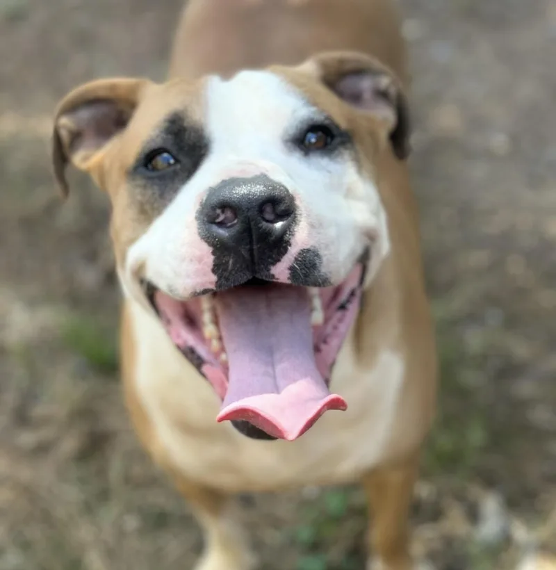Tucker