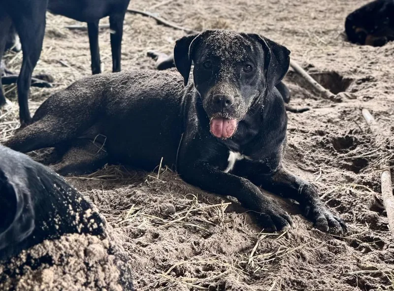 Felicity thumbnail 2