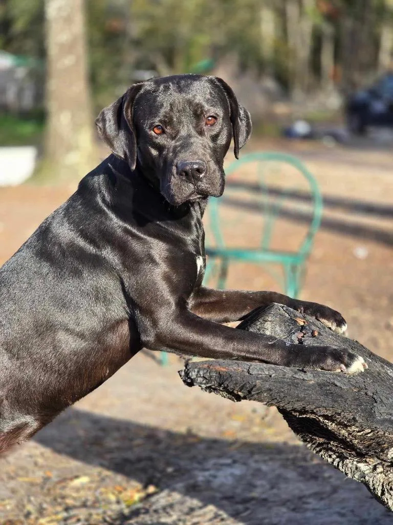 Felicity thumbnail 3