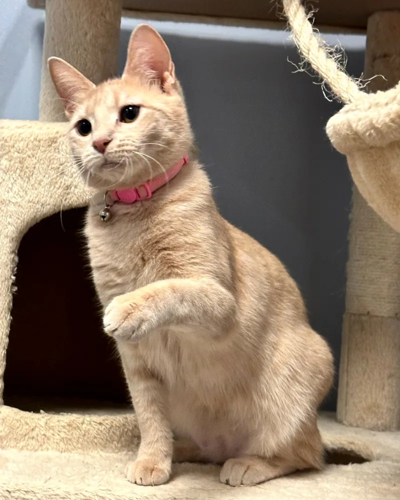 Madeline thumbnail 2