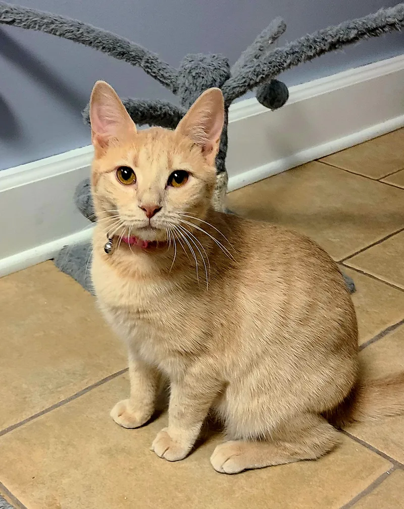 Madeline thumbnail 3