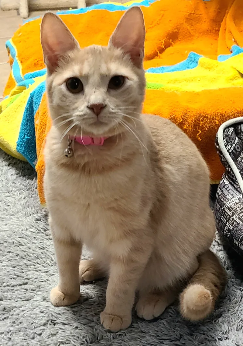 Madeline thumbnail 6