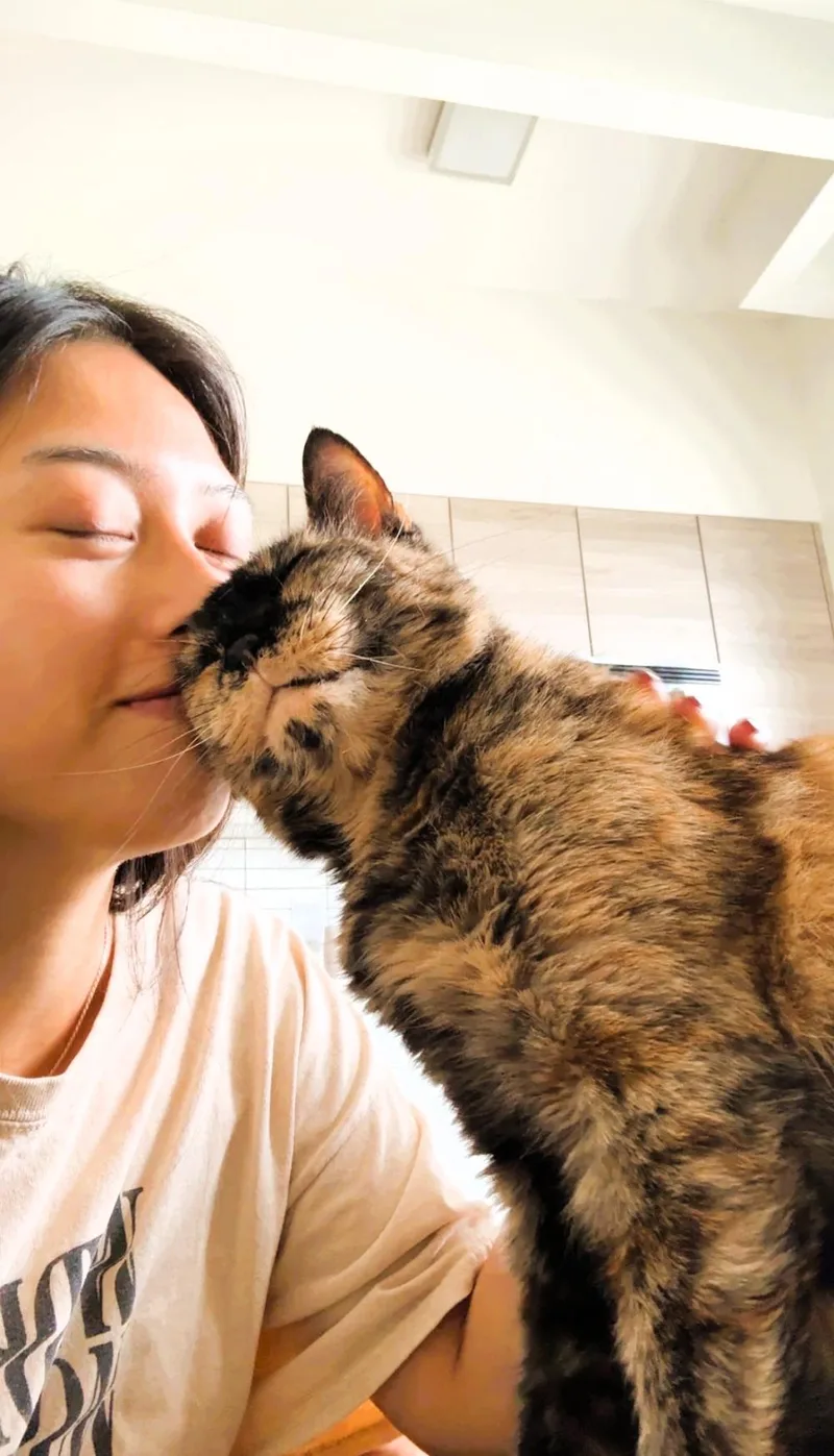 Sparkles thumbnail 3