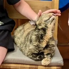 Sparkles thumbnail 4