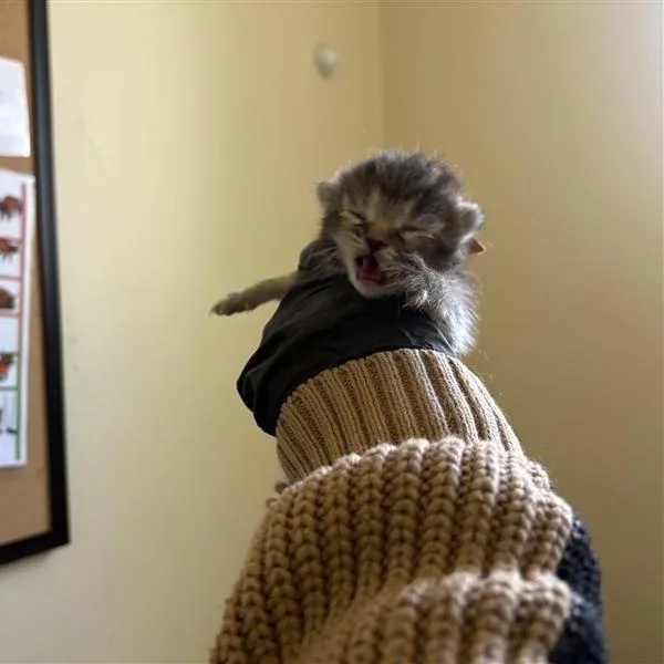 Jim thumbnail 2
