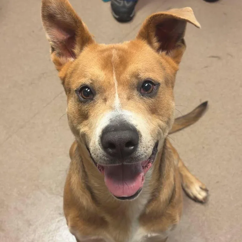 Big Bear thumbnail 4