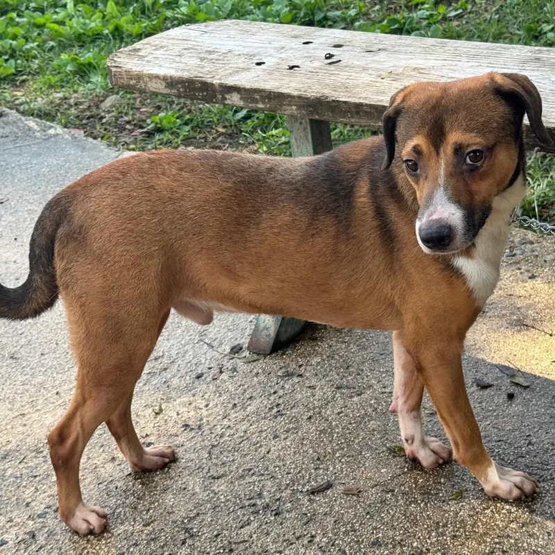 Nino "love Makes Me thumbnail 2