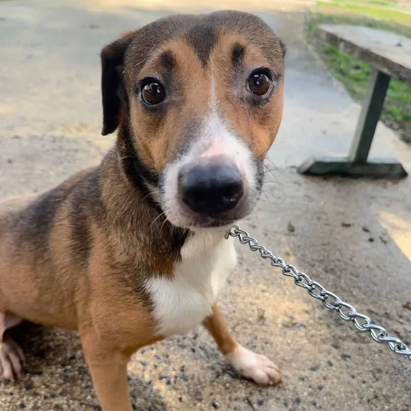 Nino "love Makes Me thumbnail 3