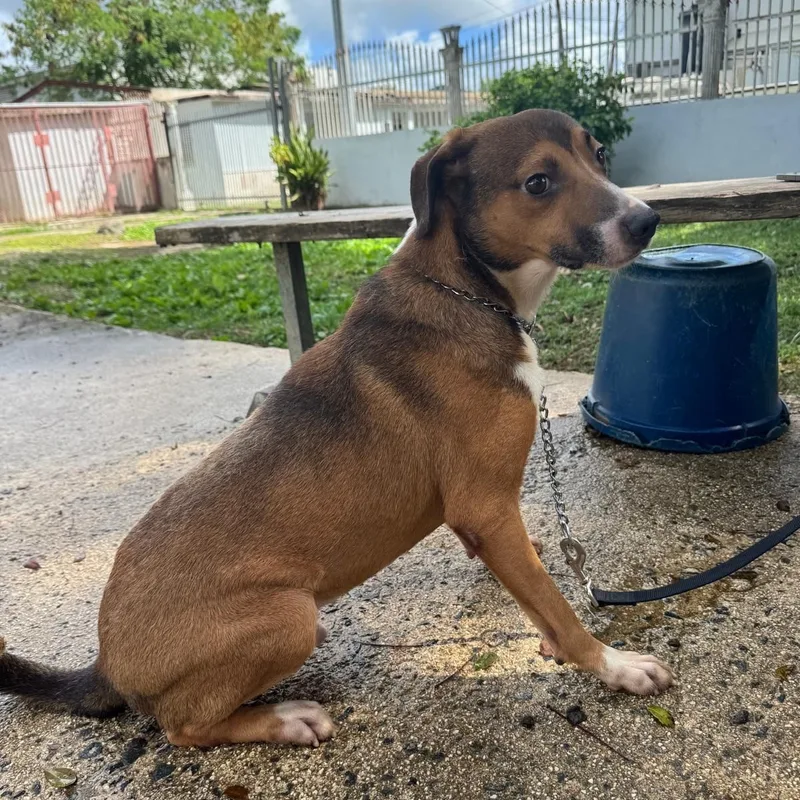 Nino "love Makes Me thumbnail 4