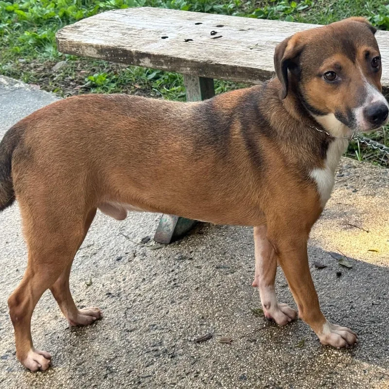 Nino "love Makes Me thumbnail 5