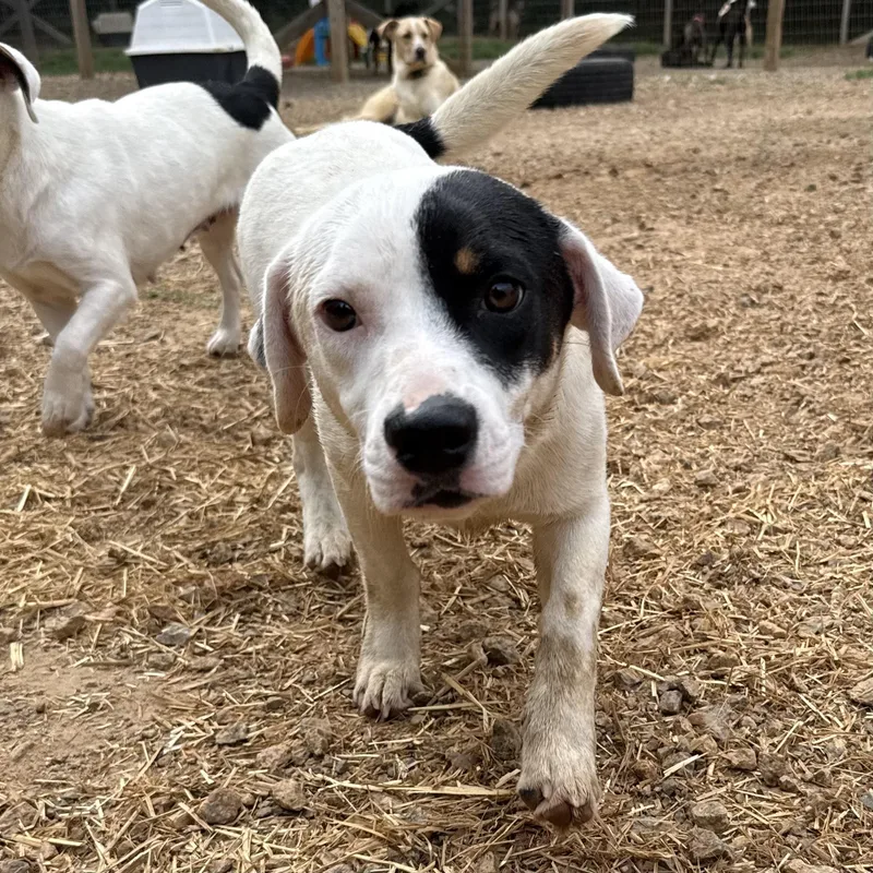 Stretch Armstrong thumbnail 3