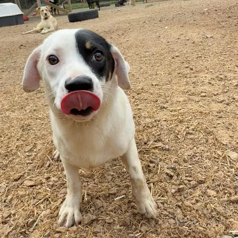 Stretch Armstrong thumbnail 4