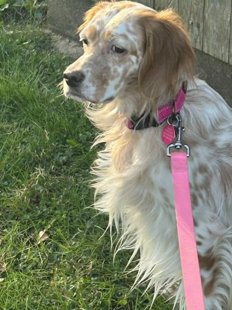 Peggy thumbnail 3