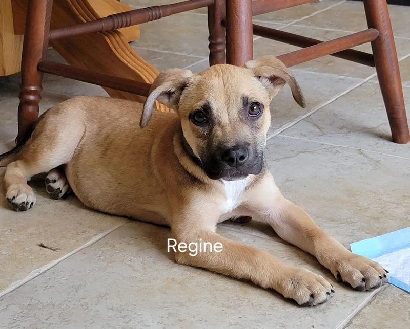 Regine thumbnail 2