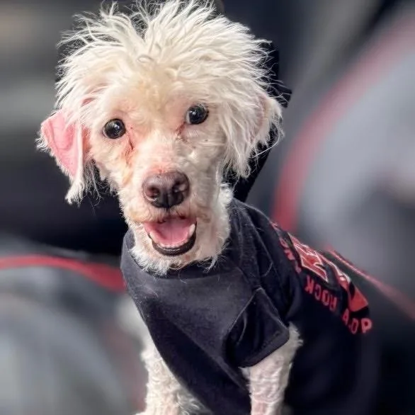 Rainforest thumbnail 2