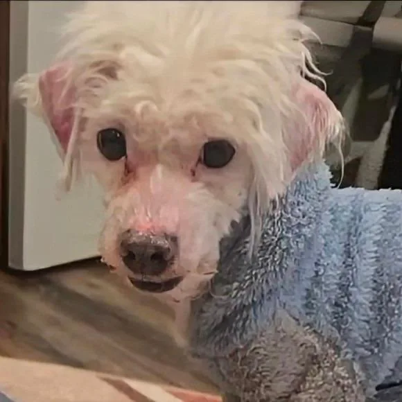 Rainforest thumbnail 3