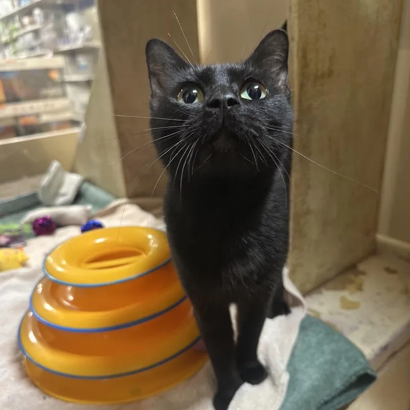 Nightcore thumbnail 2