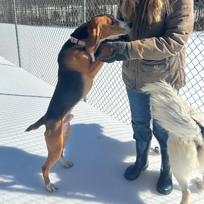 Bark Wahlberg thumbnail 2