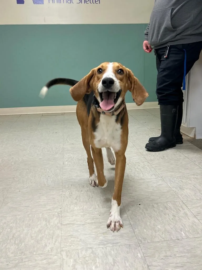 Bark Wahlberg thumbnail 3