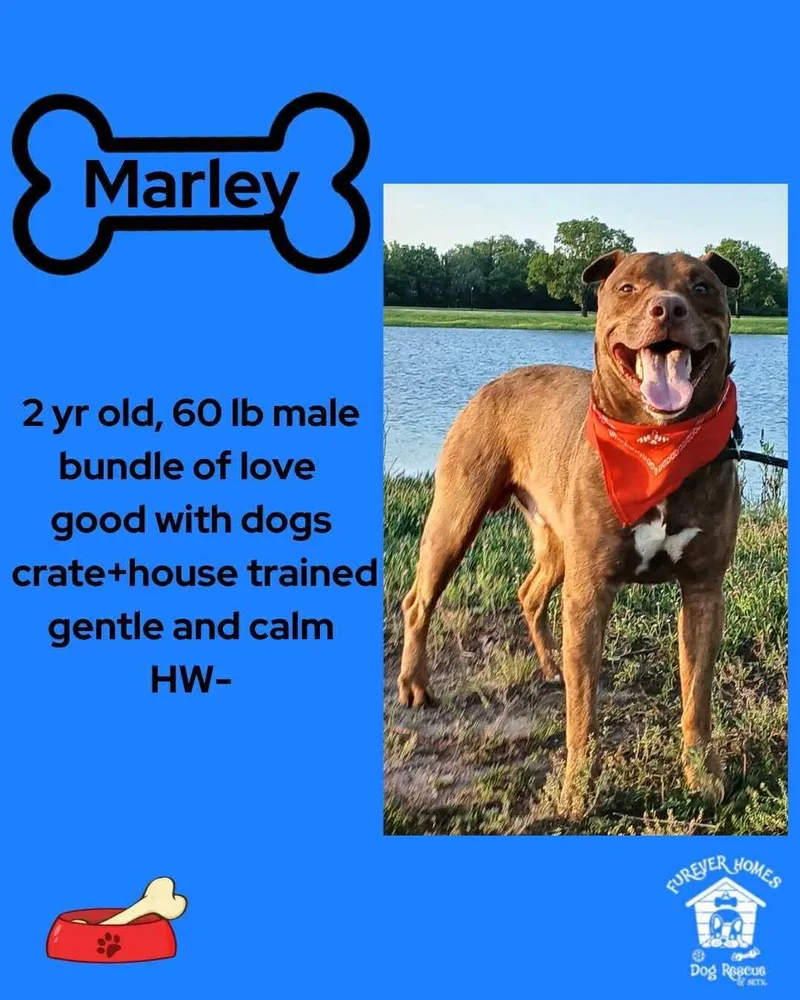 Marley