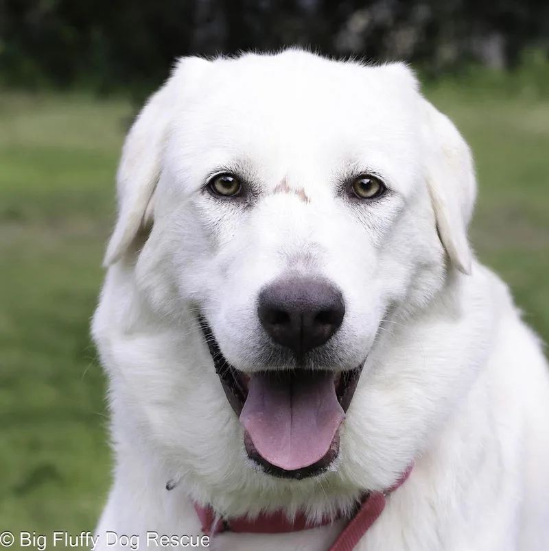 Rachel thumbnail 3