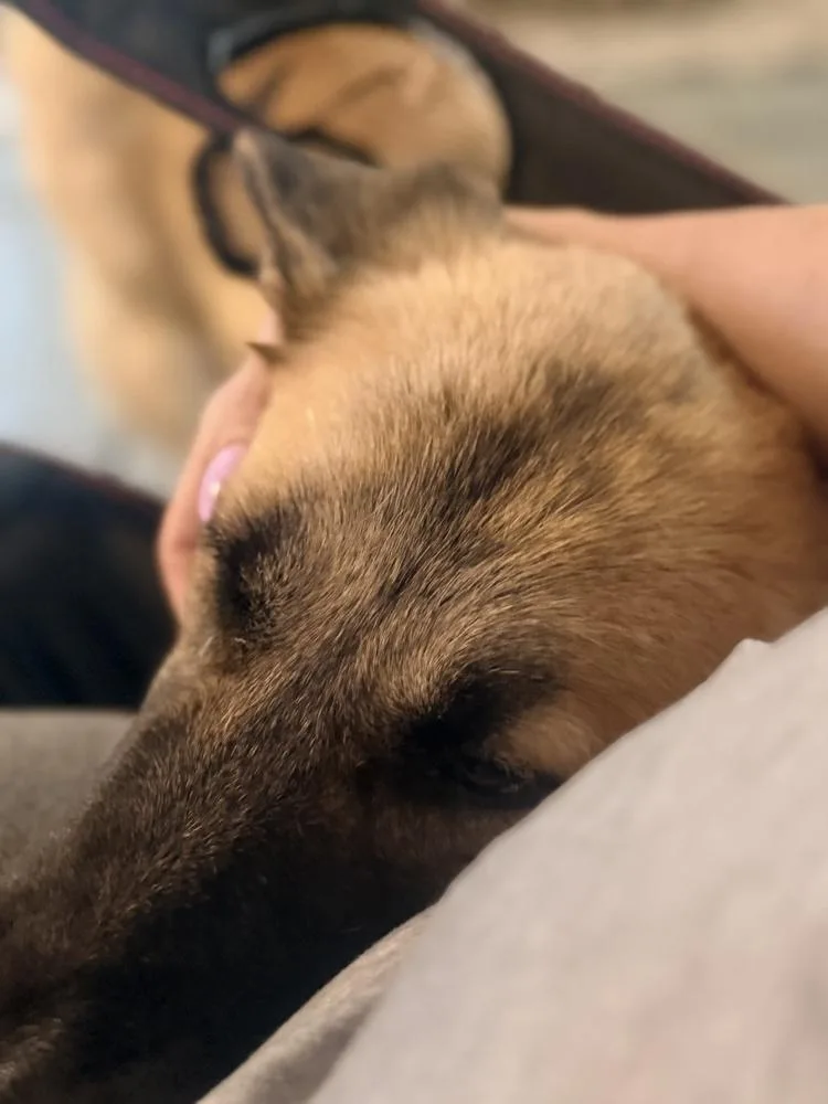 Mama Resa thumbnail 2