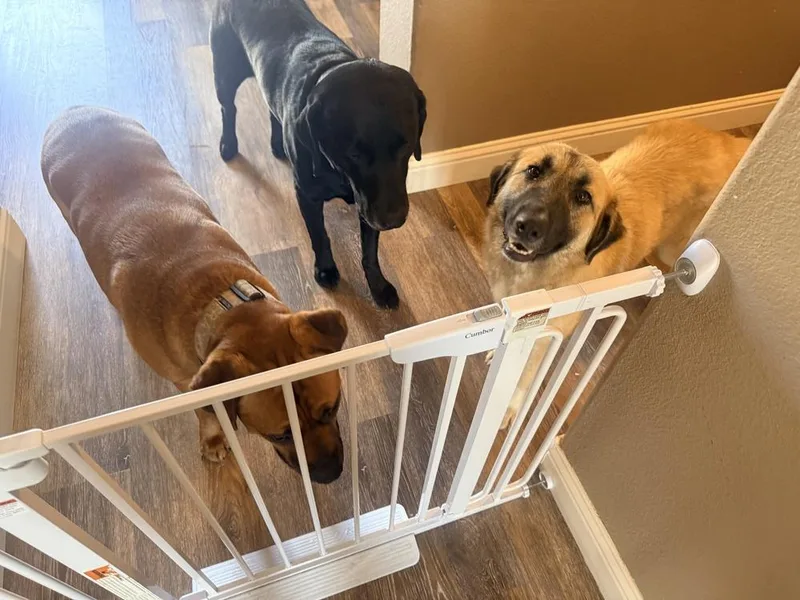 Mama Resa thumbnail 3