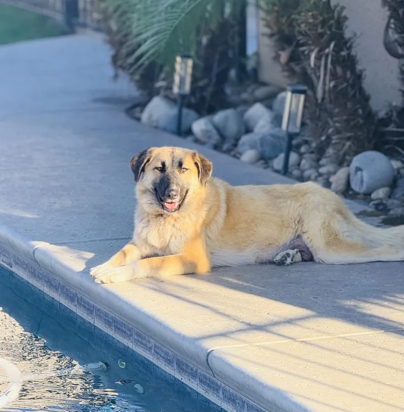 Mama Resa thumbnail 4