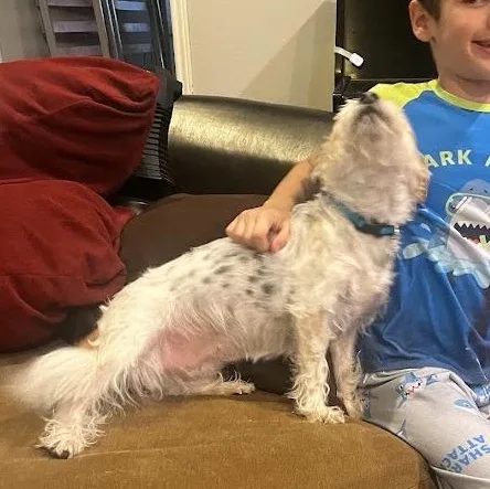 Harlow thumbnail 2