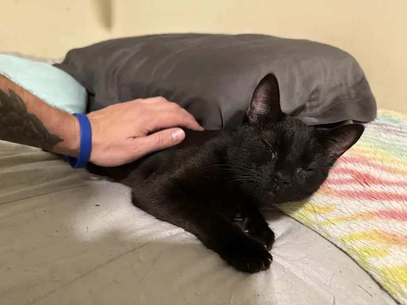 Mama Kuro thumbnail 4