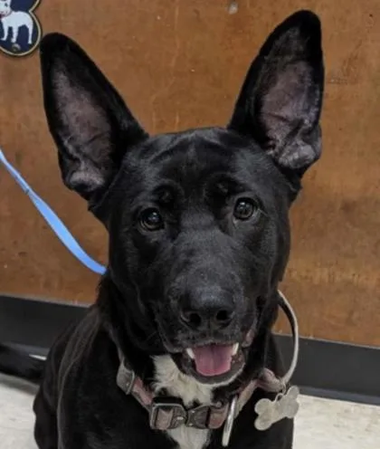 Walla Walla thumbnail 2