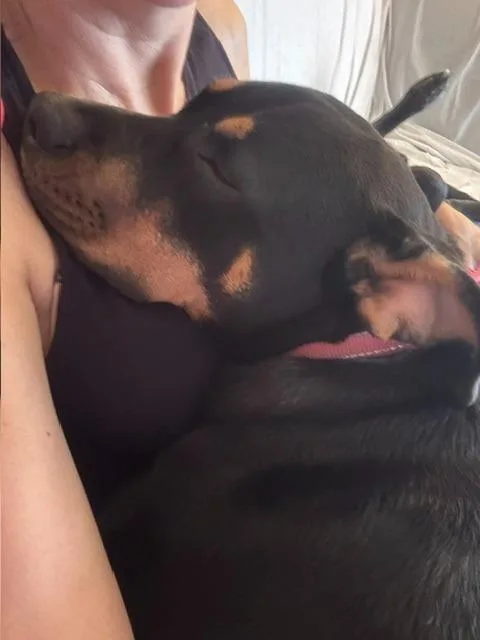 Lucy Lou thumbnail 2