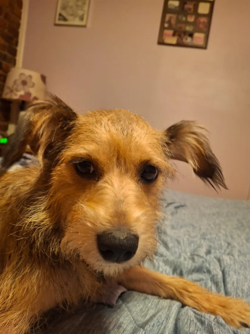 Molly