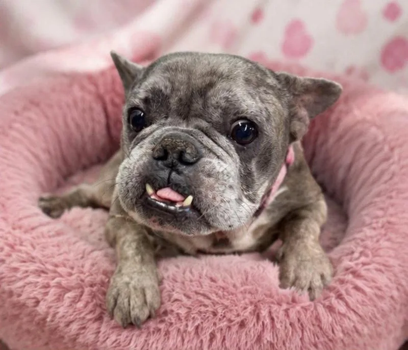 Grumpy