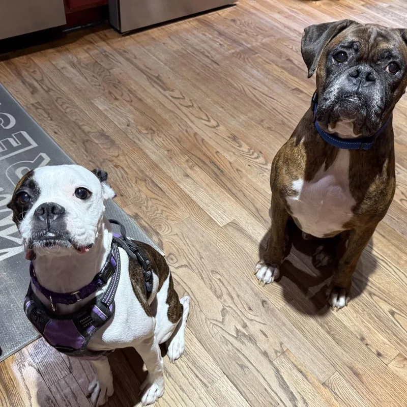 June Bug thumbnail 3