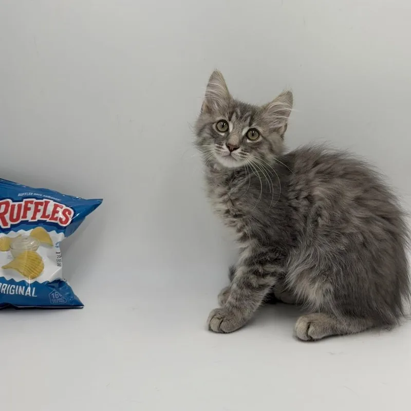 Ruffles thumbnail 2
