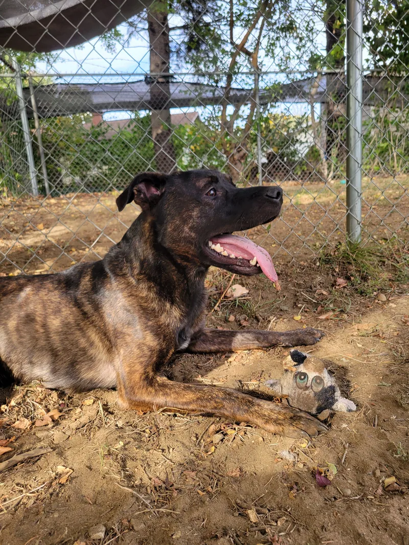 Ichabod Crane thumbnail 3