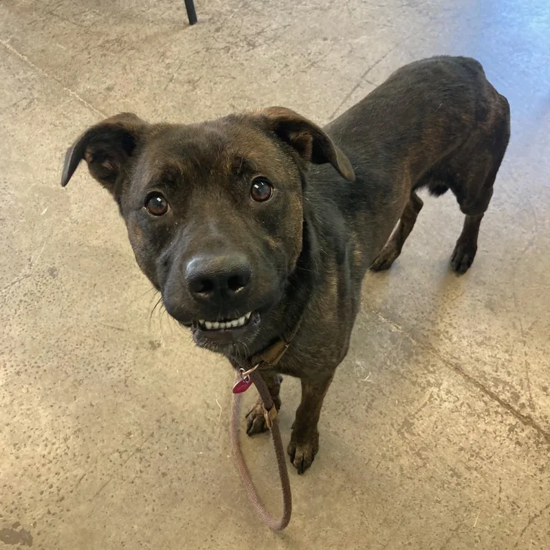 Ichabod Crane thumbnail 5