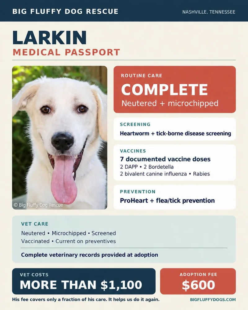 Larkin thumbnail 3