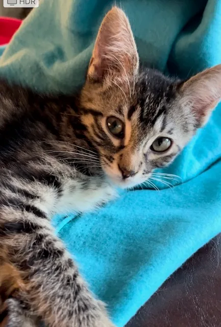 James Potter thumbnail 2