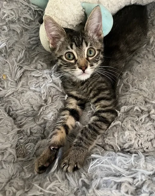 James Potter thumbnail 4