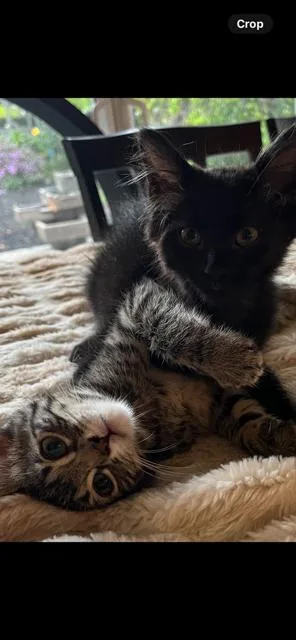 James Potter thumbnail 5