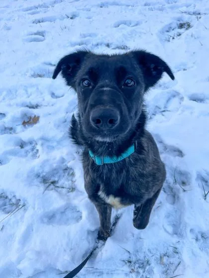 Milky Way thumbnail 3