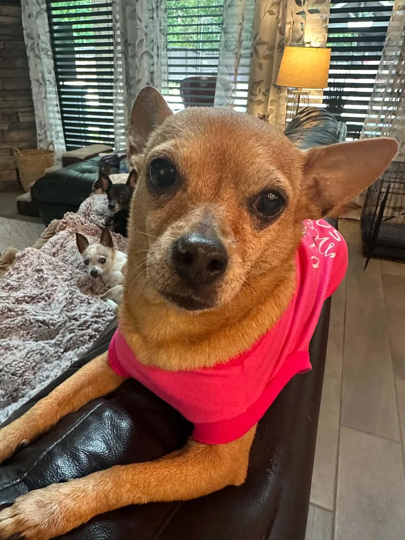 Coco thumbnail 2