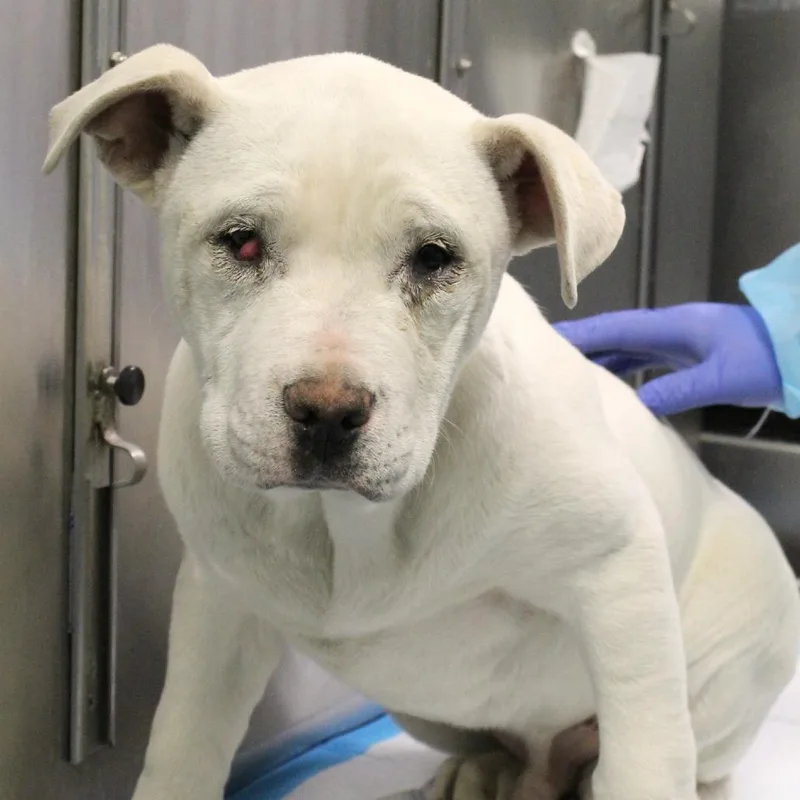 Bamm Bamm thumbnail 3