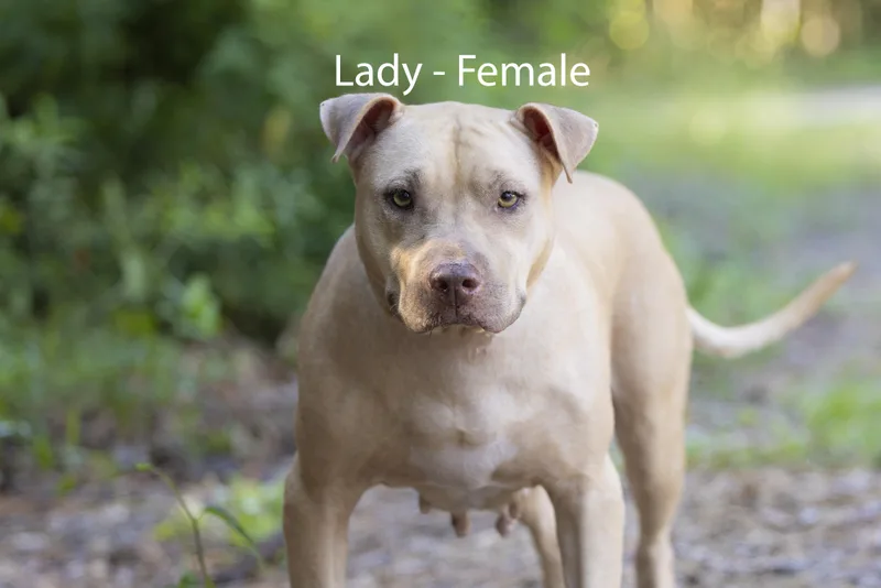 Lady thumbnail 2