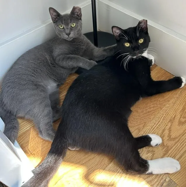 Bonnie and Clyde