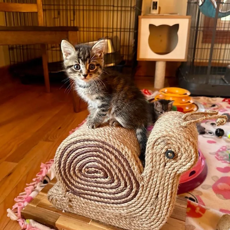 Kiwi Miller thumbnail 2