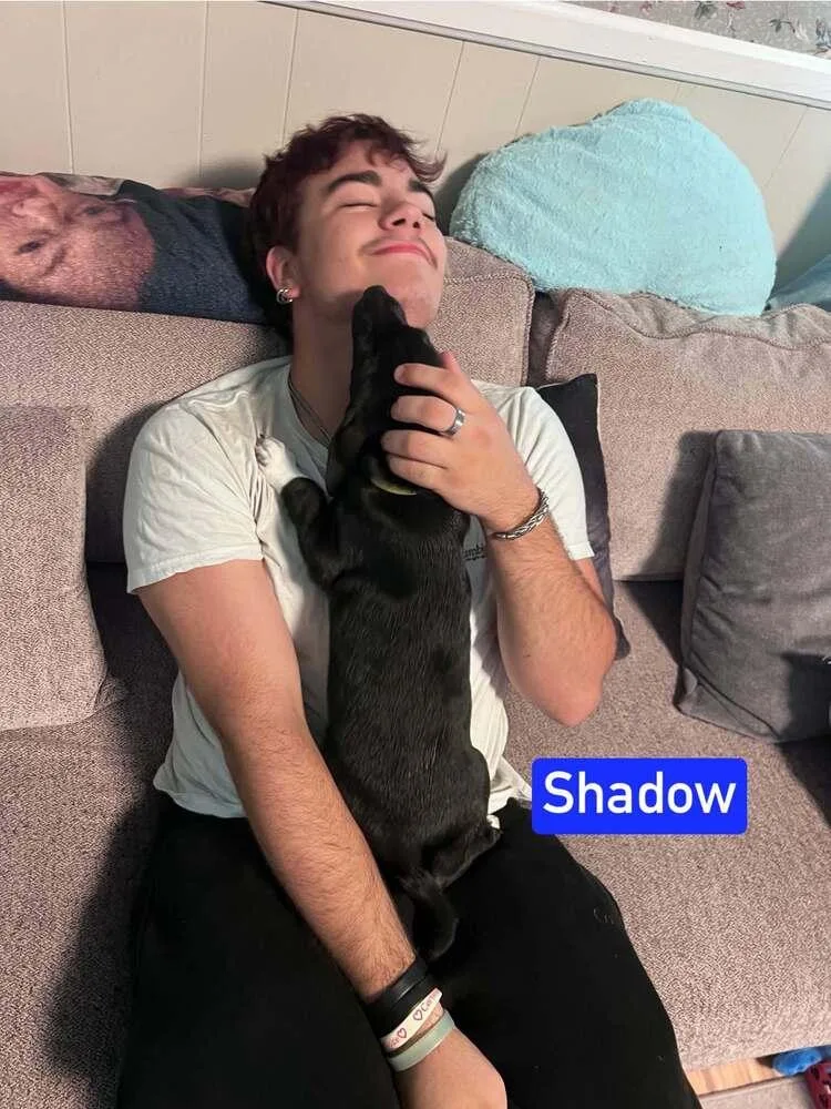 Shadow thumbnail 3